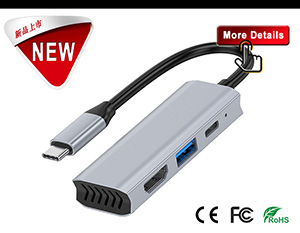 USB 3.1 HUB Extension Type-C