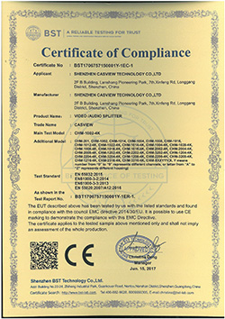 VIDEO AUDIO SPLITTER BST1706757150001Y-1EC-1.jpg