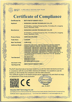 VIDEO MULTIPLEXER BST1706757150005Y-1EC-1.jpg